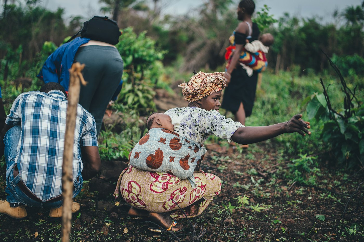 Coopératives agricoles